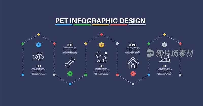 信息图表设计模板与宠物的关键字和图标
