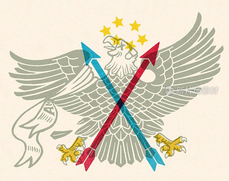 改变的美国鹰的象征
