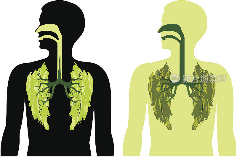 绿色的肺叶-一股游离的气息