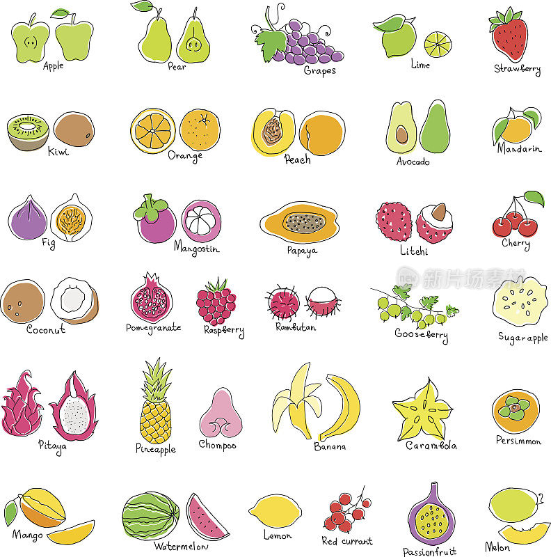 矢量集的彩色手绘水果和浆果图标