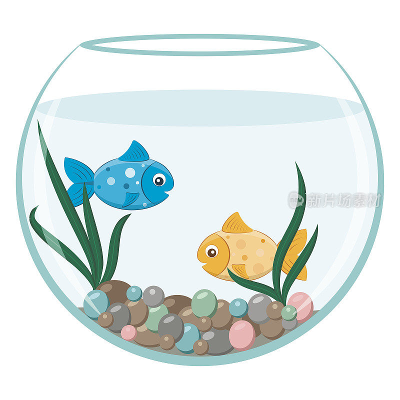 圆形鱼缸里有金色和蓝色的鱼