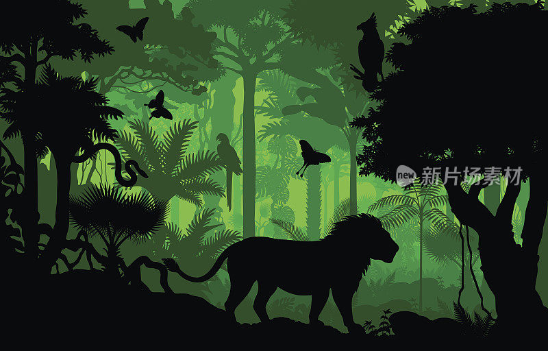 矢量傍晚热带雨林丛林背景与狮子，大雕，蟒蛇和蝴蝶