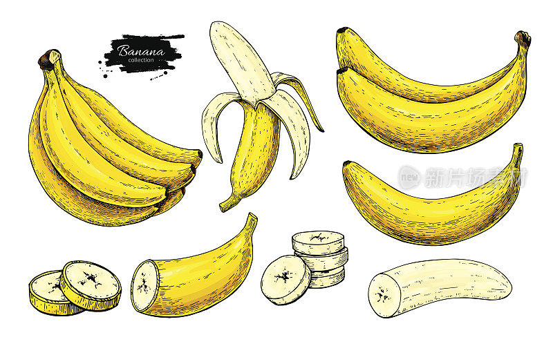 香蕉集合向量绘图。孤立手抽串，剥香蕉切片