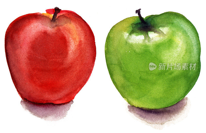 白色背景上的两个水彩画苹果(孤立)