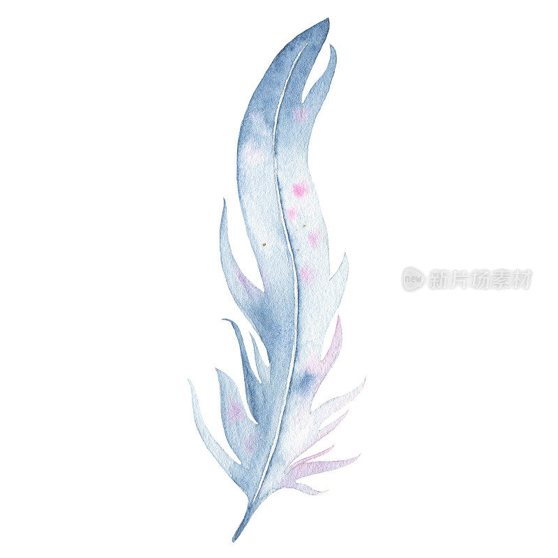 水彩手绘波西米亚羽毛孤立的白色背景