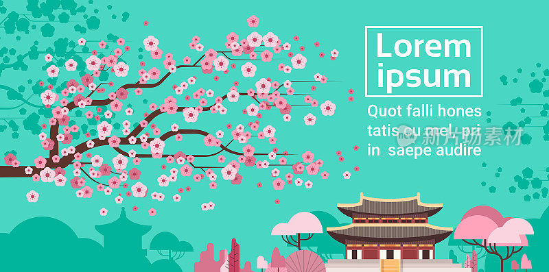樱花盛开在韩国寺庙或宫殿景观韩国著名的地标景观
