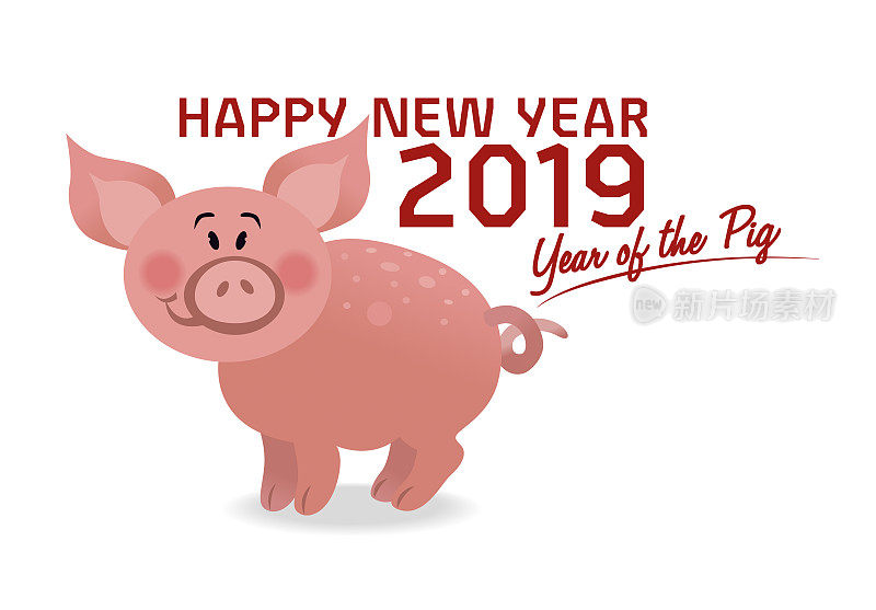 岁次是猪年。2019年新年快乐