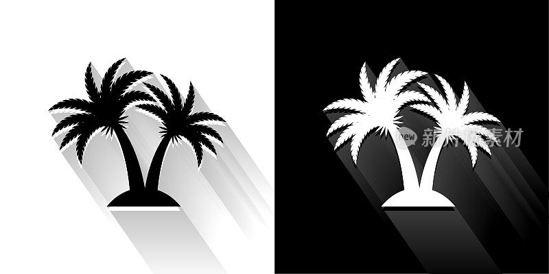 热带棕榈树黑色和白色与长影子的图标