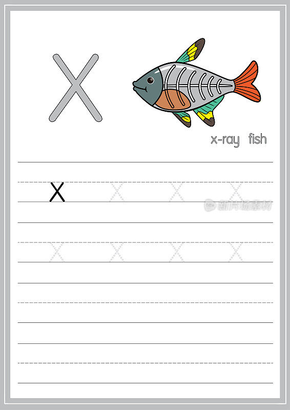 矢量图的x射线鱼孤立在白色的背景。用小写字母X作为教与学的媒介，供儿童识别英文字母或供儿童学习书写字母用于在家里和学校学习。