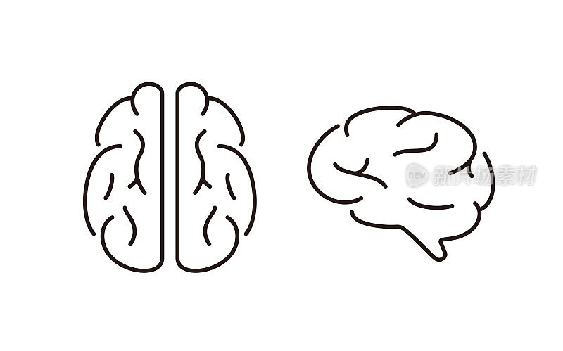 人脑器官平面图标，矢量插图