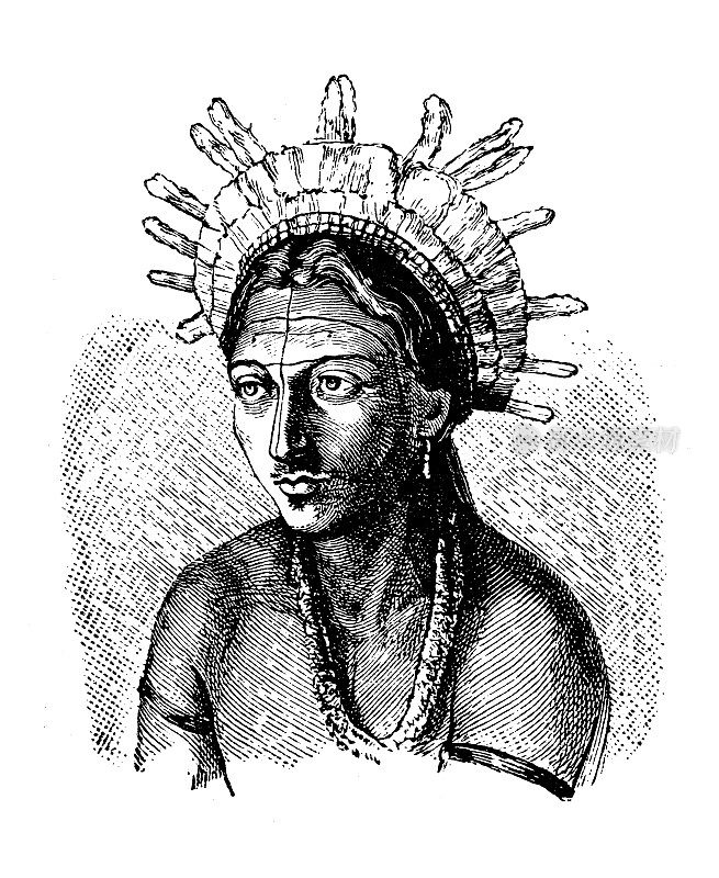 古代插画,民族志和土著文化:南美洲,瓦皮沙纳酋长