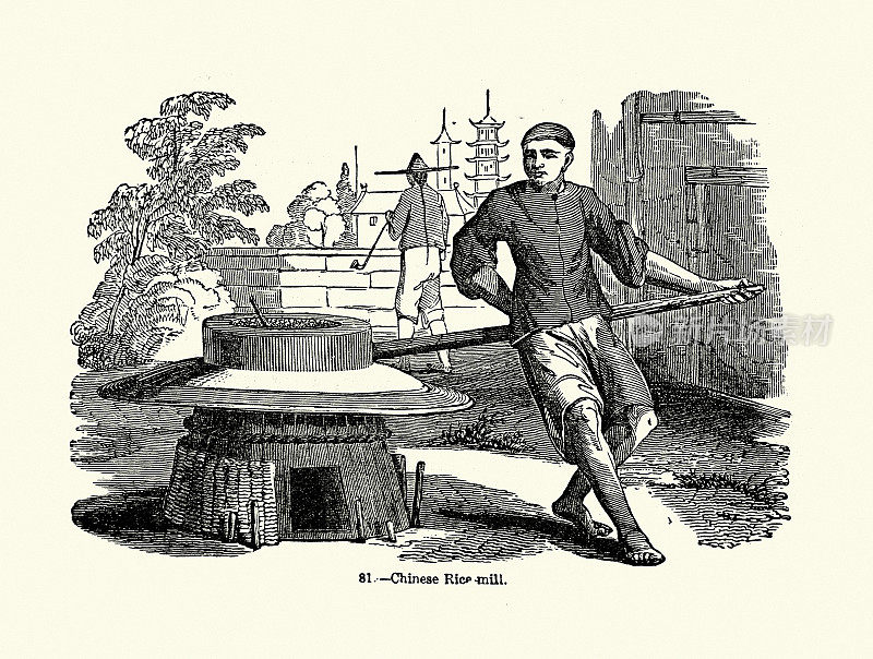 男人碾磨，用中国传统碾米机碾米，19世纪