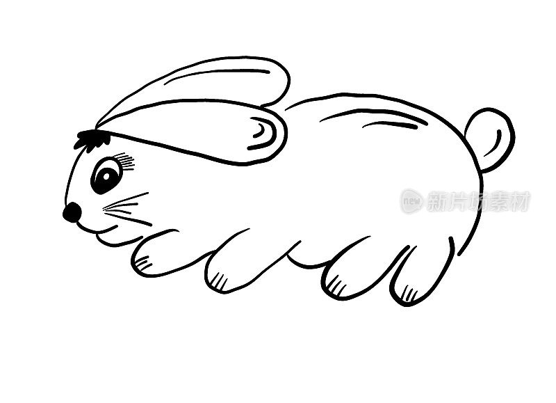 象征着2023年的新年。可爱的小白兔。有趣的复活节兔子。