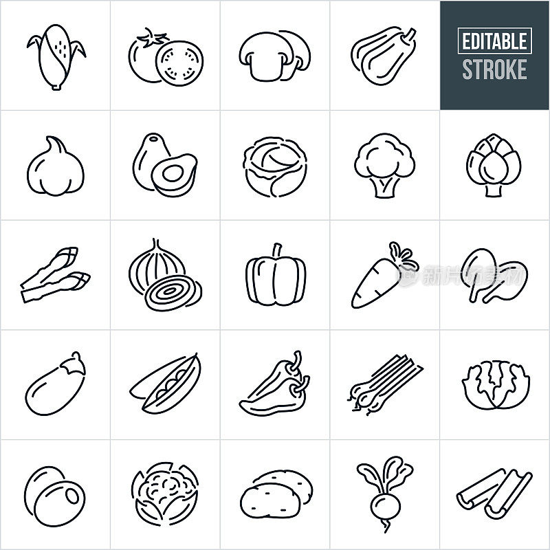 蔬菜细线图标-可编辑的笔画-图标包括玉米，番茄，蘑菇，南瓜，鳄梨，西兰花，花椰菜，洋蓟，洋葱，菠菜，生菜，土豆，芦笋，胡萝卜，卷心菜，芹菜