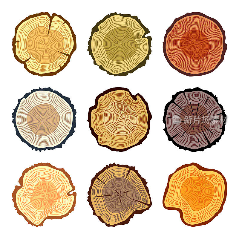 圆形彩色树干切割，锯松或橡木片，木材。锯木料，锯木头。棕色木质纹理与树木年轮。手绘草图。矢量图