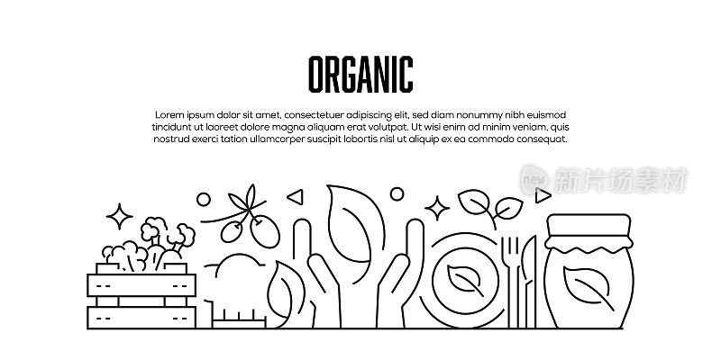 有机相关的现代线条风格横幅设计