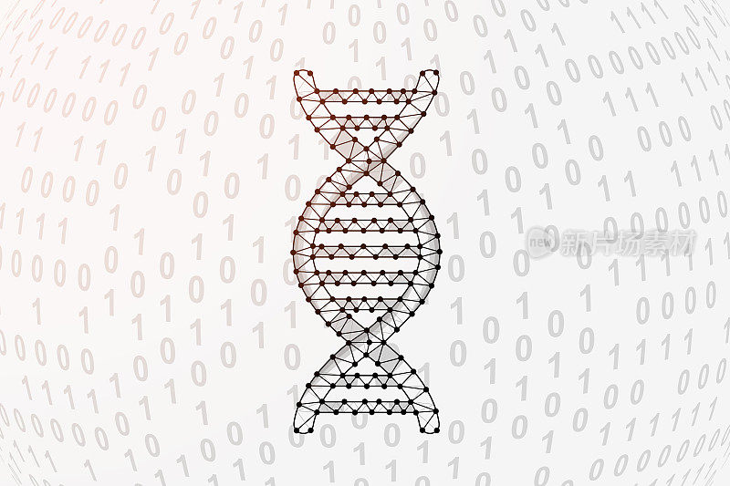 具有二进制码背景的DNA螺旋三维低聚符号。科学设计矢量插图。带有连通点的遗传螺旋多边形符号