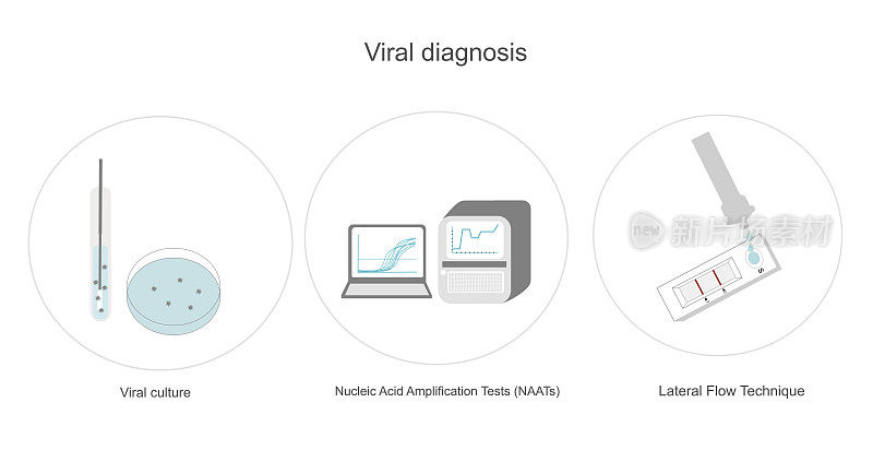 图示的病毒检测和鉴定或感染诊断检测技术:病毒培养、PCR或qPCR等NAATs和横向流动或快速检测