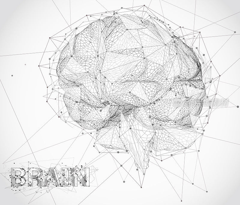三维矢量网络大脑。神经网络海量数据处理