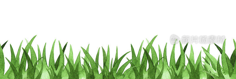 水彩绘画。天衣无缝，绿草如茵。可爱的草地插图
