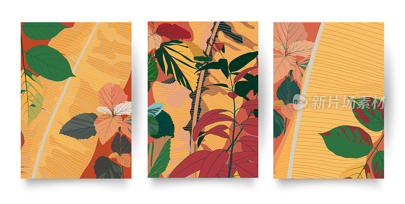 热带模式集。收集热带背景在简单的最小平面风格与丛林植物香蕉叶，