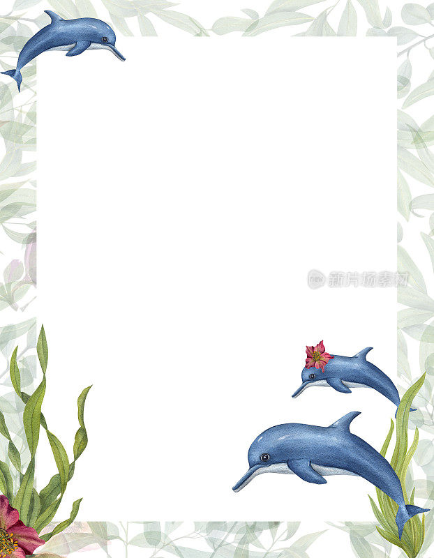 水彩卡卡通风格与海豚和海带孤立在白色背景。手绘的明信片，儿童派对海报，邀请模板插图