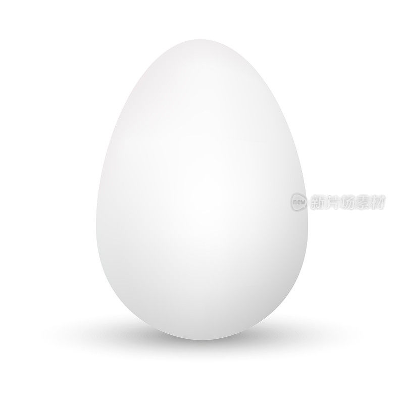 鸡蛋分离在白色背景上。蛋模板。现实的蛋