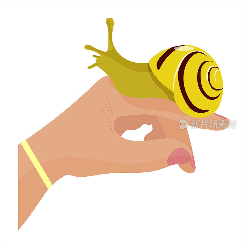 蜗牛坐在一只手上。蜗牛作为宠物的概念。矢量插图在卡通风格。