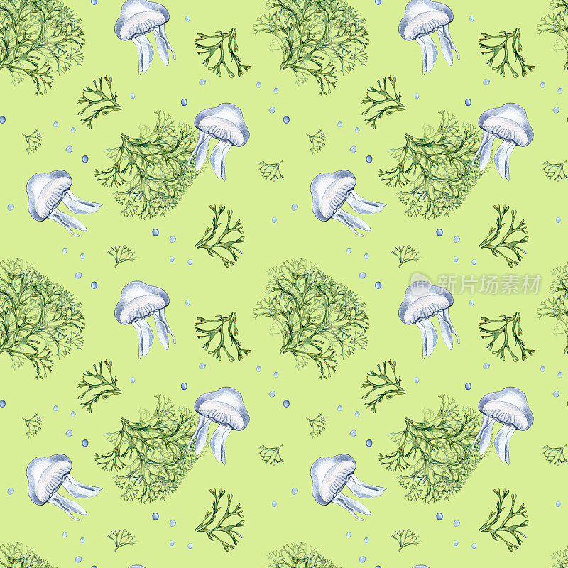 无缝图案的绿色海洋植物和水母水彩插图孤立的绿色背景。Codium海藻手绘。设计包装，纸张，纺织品，包装，海洋收集