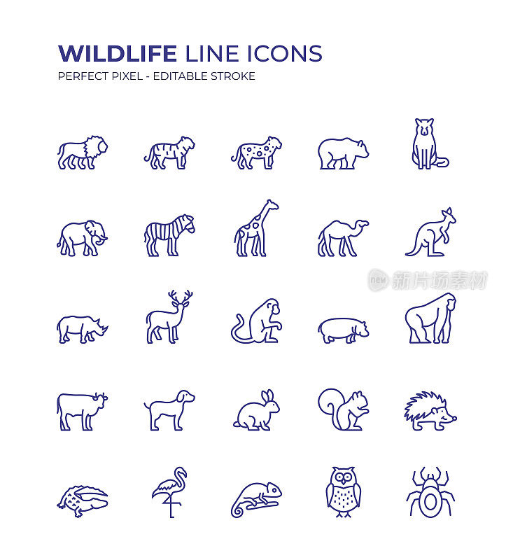野生动物可编辑线图标集包含这样的图标，狮子，老虎，猎豹，长颈鹿，狼，斑马，袋鼠，骆驼，大象，鹿，大猩猩，鳄鱼，熊等