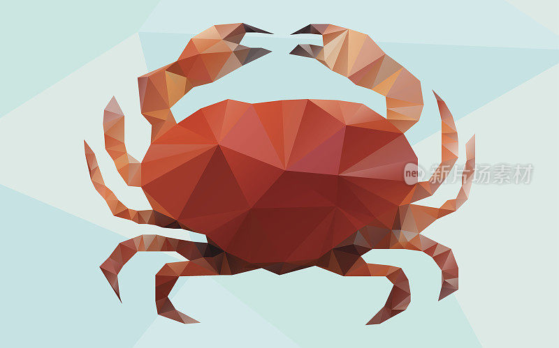 矢量红蟹，贝类，低聚风格