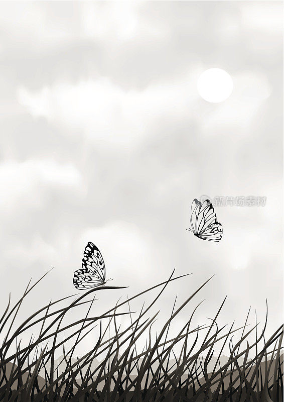 黑白风景与蝴蝶