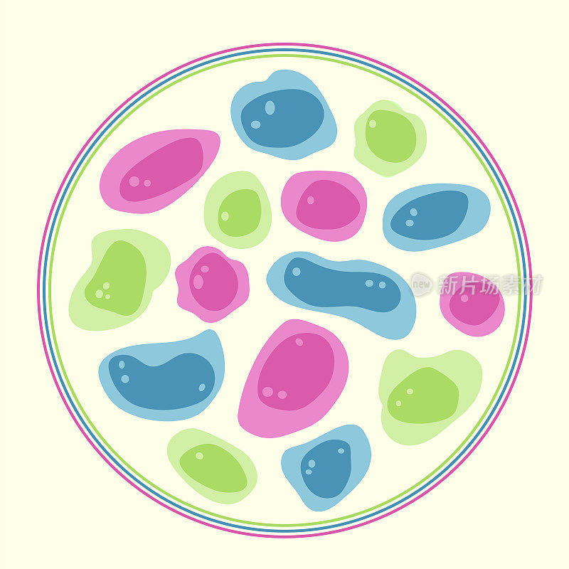 色彩斑斓的单细胞微生物