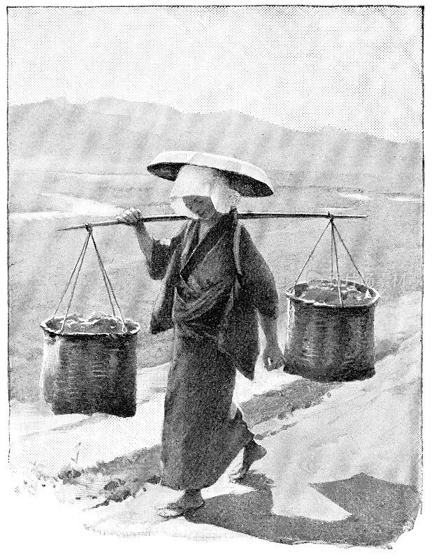 19世纪，日本京都宇二的日本妇女拿着茶叶