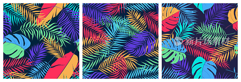 一套无缝的图案异国情调的彩色树叶怪兽，香蕉树和棕榈枝，明亮的时尚矢量热带背景