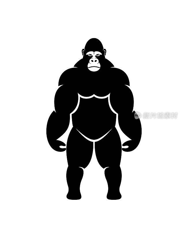 大猩猩的标志。孤立的大猩猩在白色背景