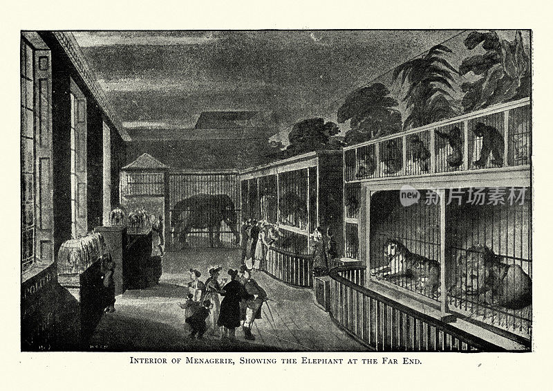 19世纪20年代，伦敦埃克塞特变化的克罗斯先生动物园