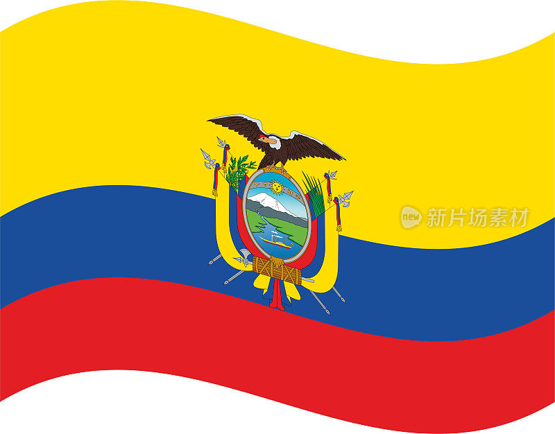 厄瓜多尔挥舞着国旗