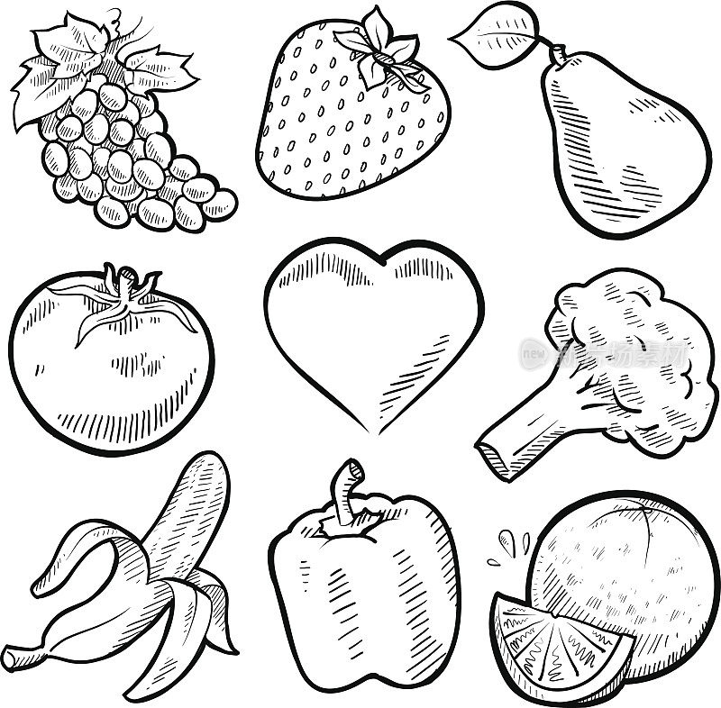 水果和蔬菜素描集