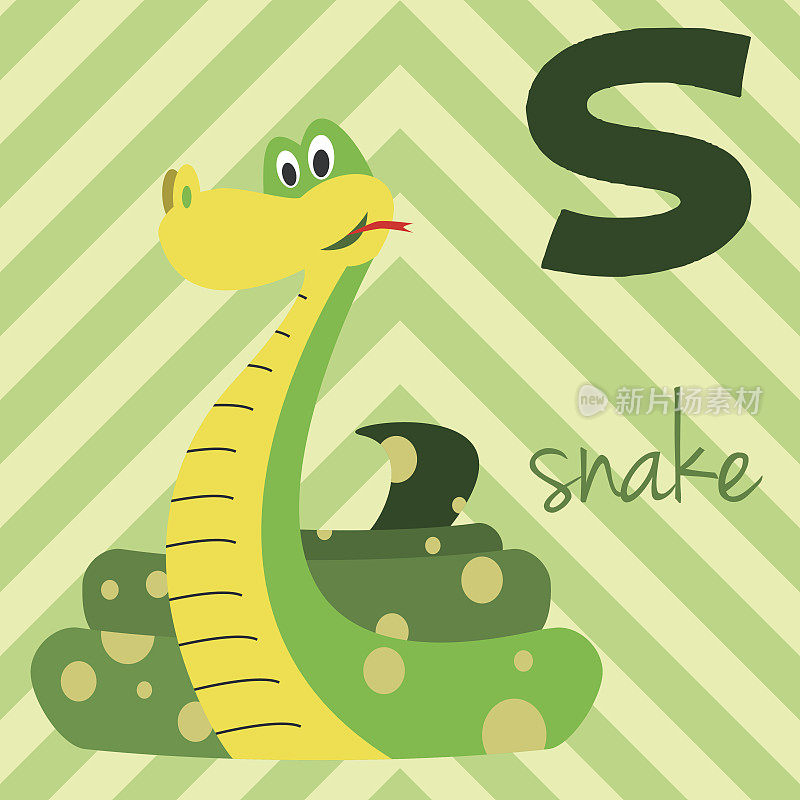 可爱的卡通动物园字母表与有趣的动物:S为蛇