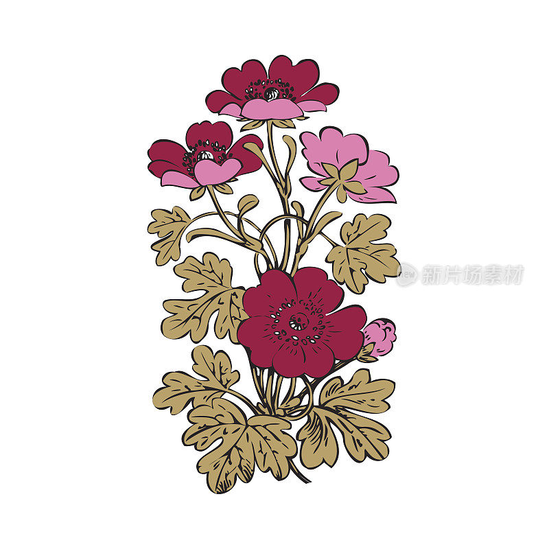 花灌木复古在白色背景矢量，手绘装饰花复古轮廓，近距离与花和芽打印设计的分支