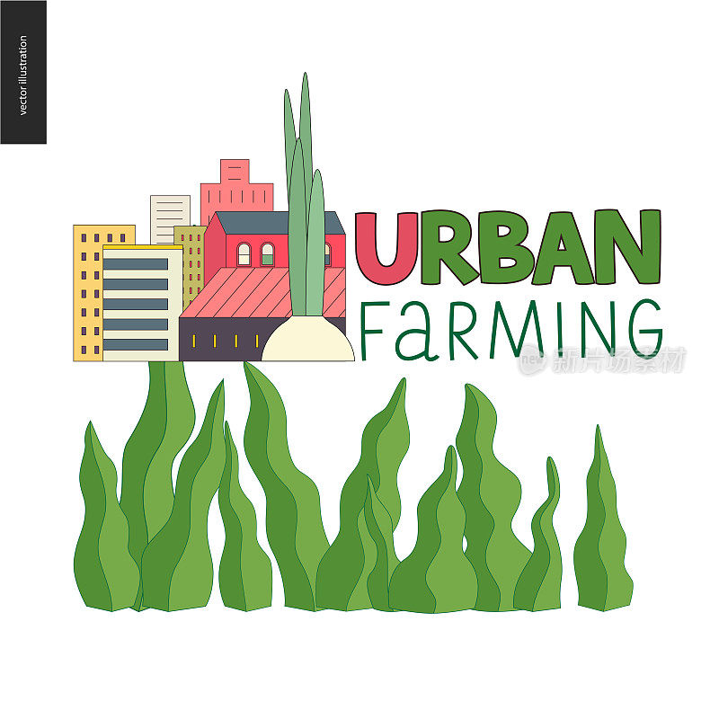 城市农业和园艺