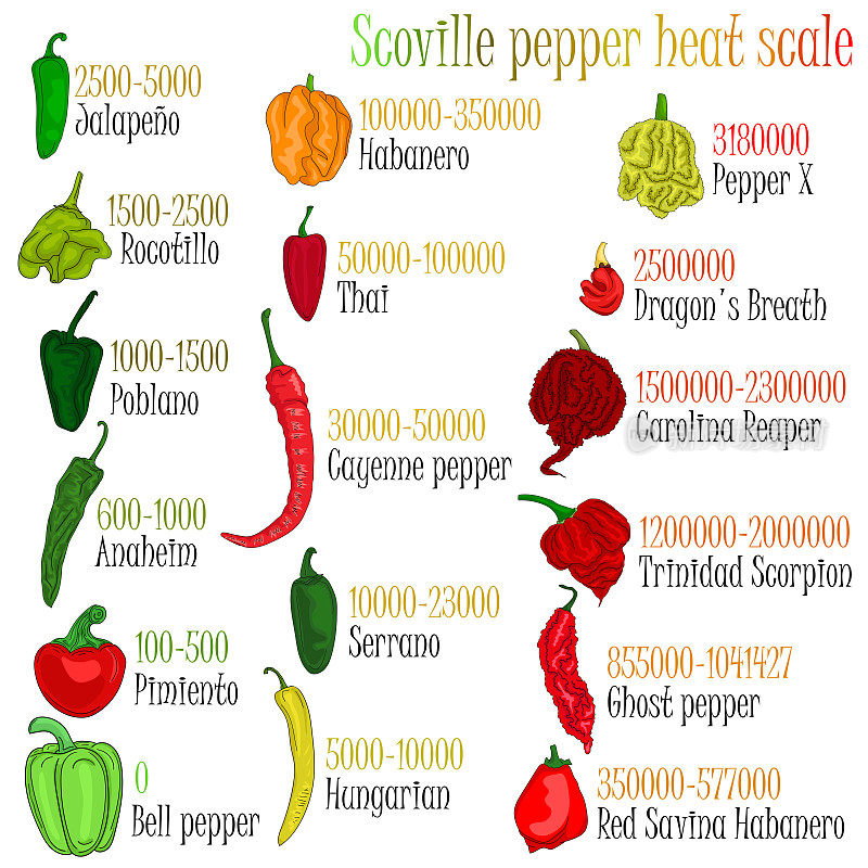 史高维尔辣椒辣度量表。胡椒插图从最甜到非常辣。矢量插图。