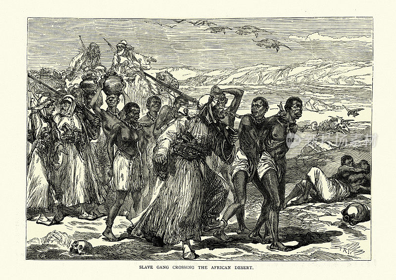 穿越撒哈拉的奴隶贸易，奴隶被迫穿越沙漠，19世纪