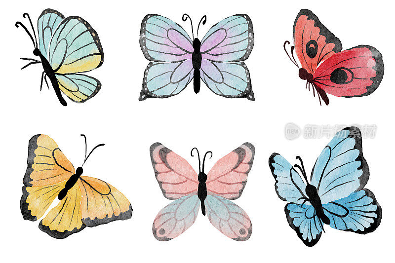 水彩手绘彩色蝴蝶收集孤立的白色背景