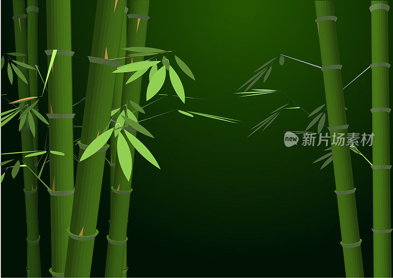 森林里的竹植物插图