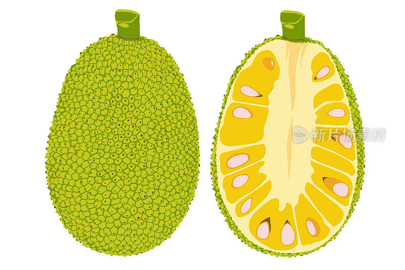 夏季热带水果，健康的生活方式。菠萝蜜。