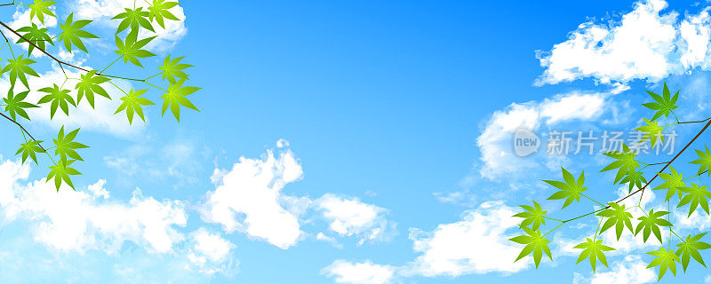 背景插图美丽的夏日天空与云和蓝色的枫叶。
