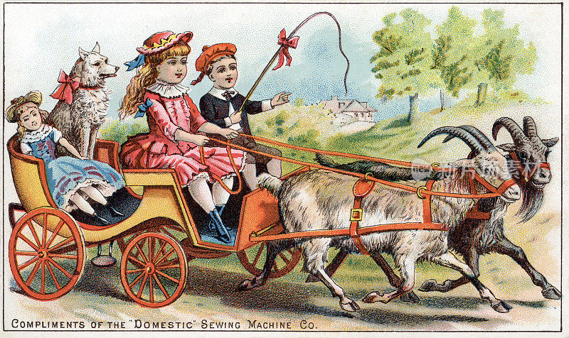 国内缝纫机公司商业名片上山羊车里儿童的彩色照片