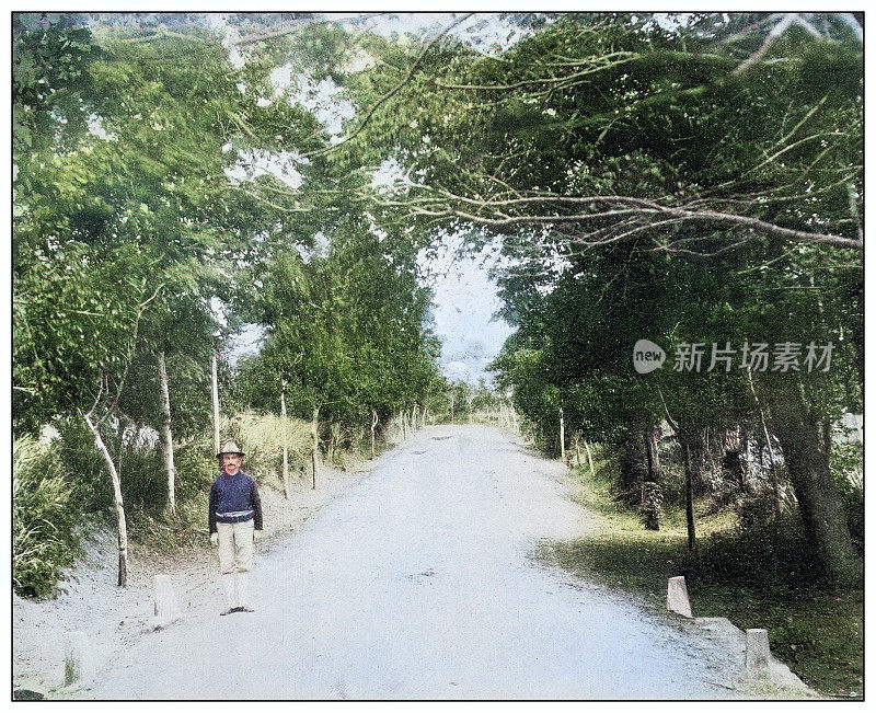 古色古香的黑白照片:波多黎各科阿莫附近的道路